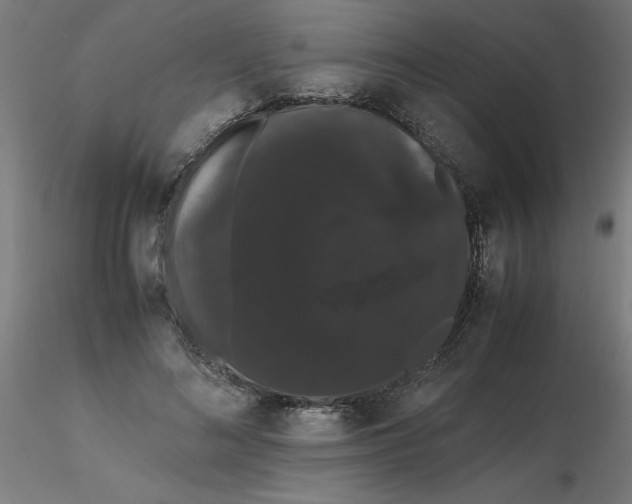 X0000116120692200912211654