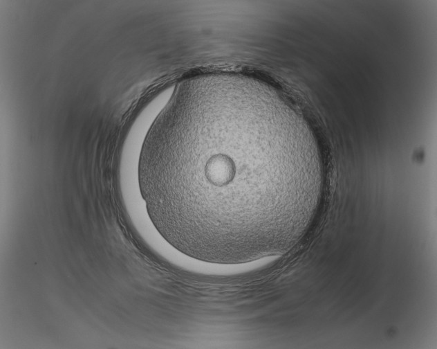 X0000116120693200912211654