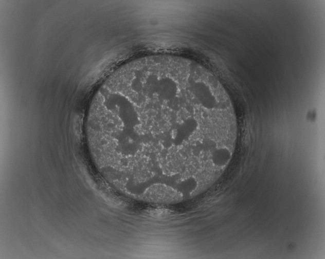 X0000116120695200912211654