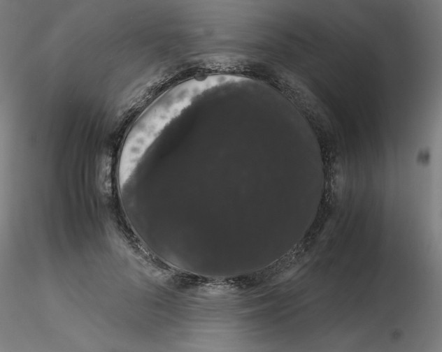 X0000116120696200912211654