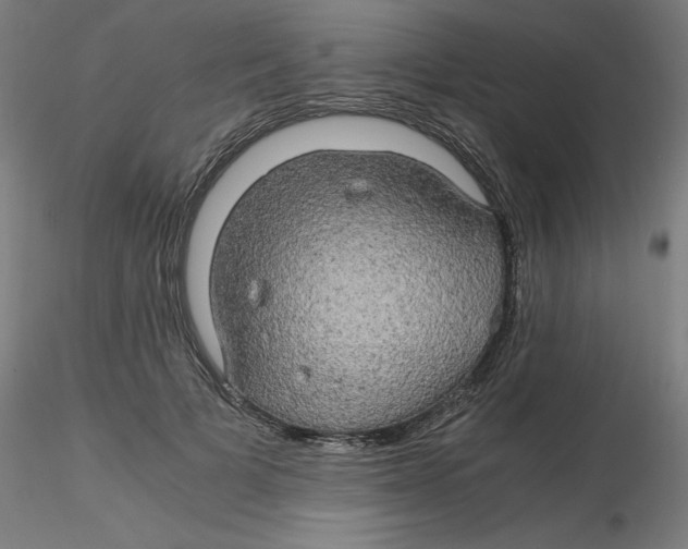 X0000116120697200912211654