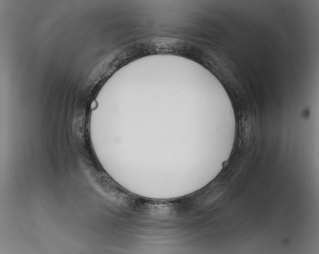 X0000116120698200912211654