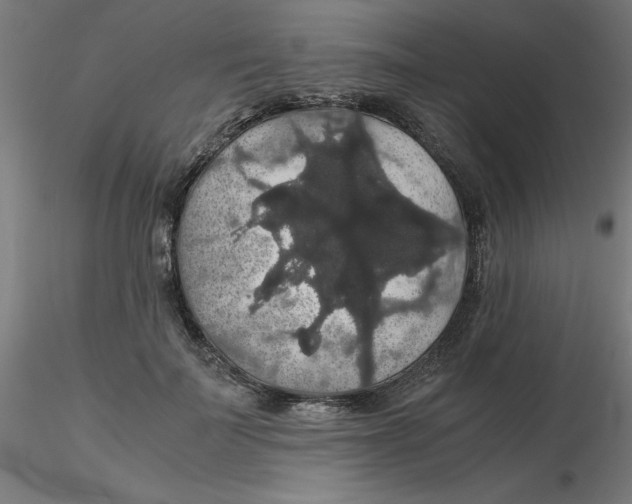 X0000116120699200912211654
