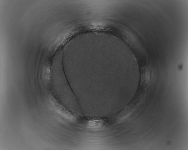 X0000116120700200912211654