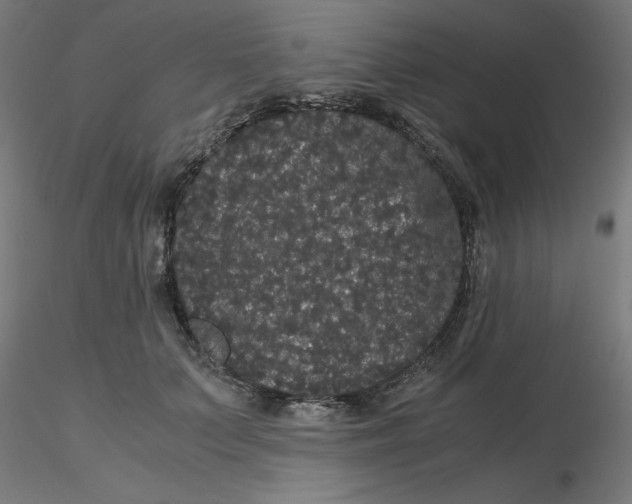 X0000116120703200912211654