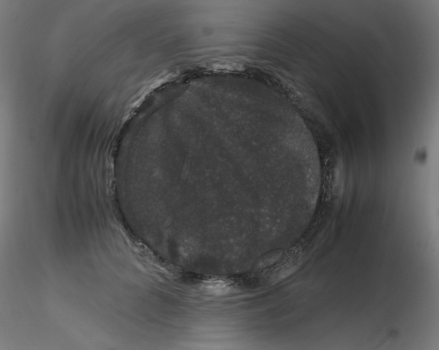 X0000116120704200912211654