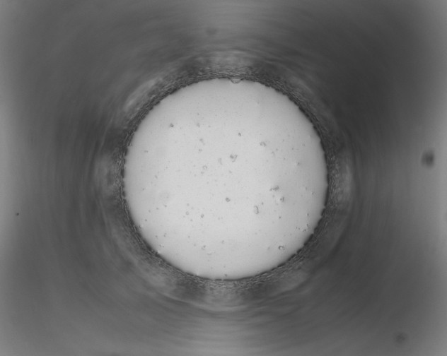 X0000116120705200912211654