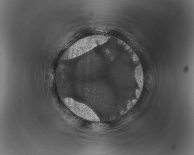 X0000116120707200912211654