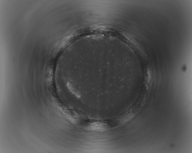 X0000116120708200912211654