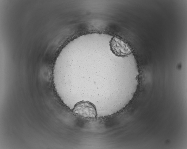 X0000116120709200912211654