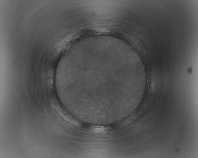 X0000116120710200912211654