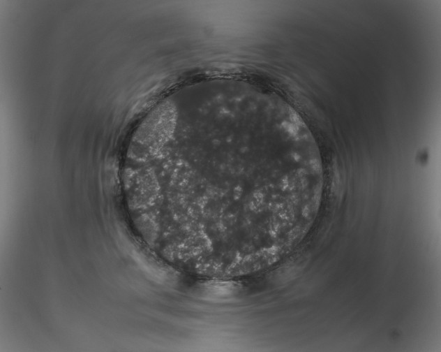 X0000116120711200912211654