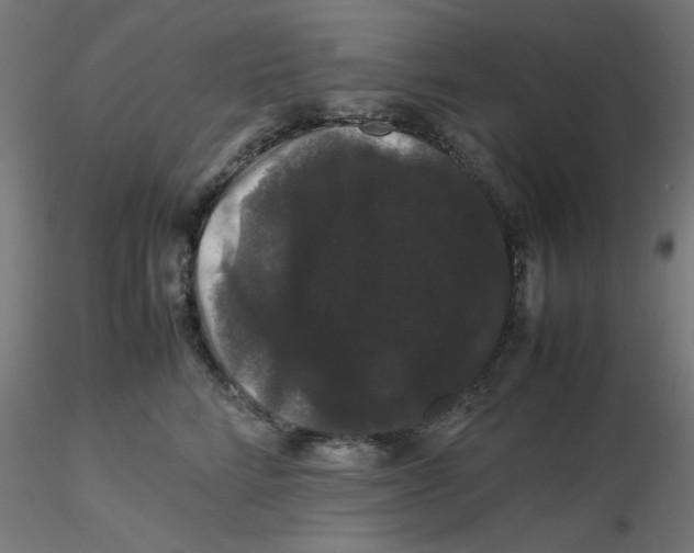 X0000116120712200912211654