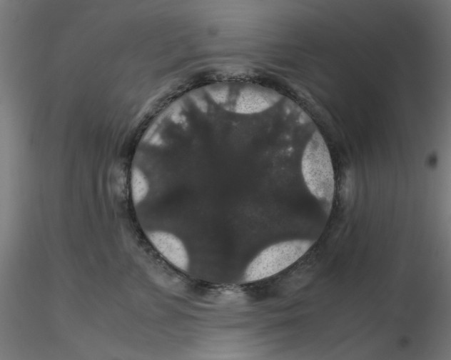 X0000116120715200912211654