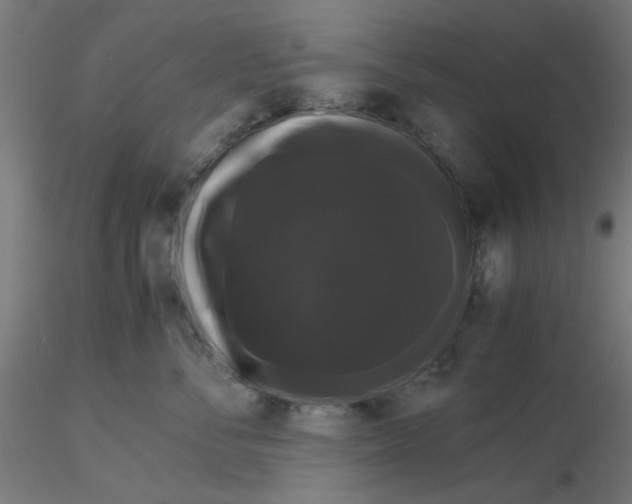 X0000116120716200912211654