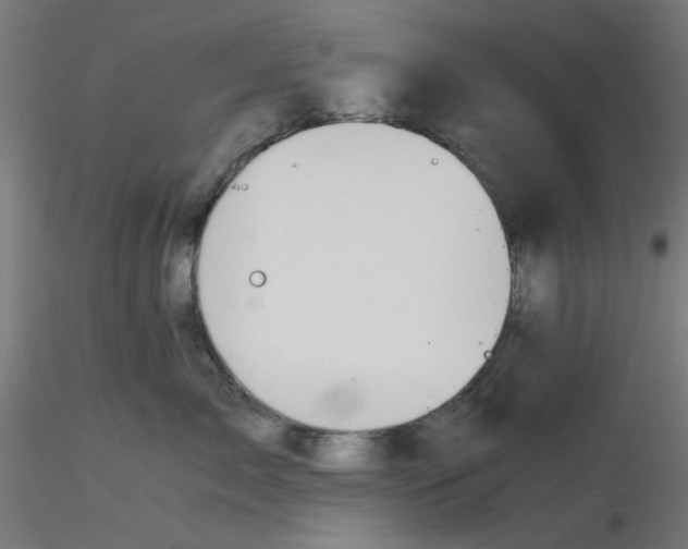 X0000116120717200912211654