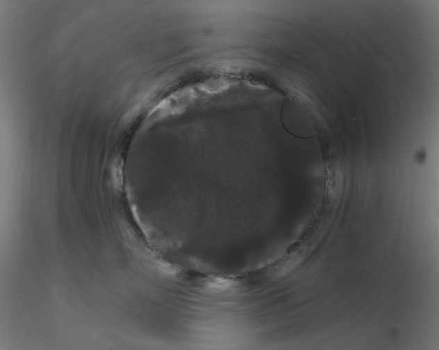 X0000116120718200912211654
