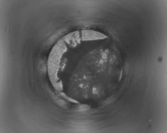 X0000116120719200912211654