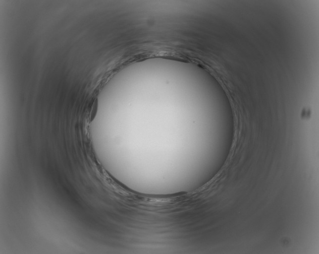 X0000116120720200912211654