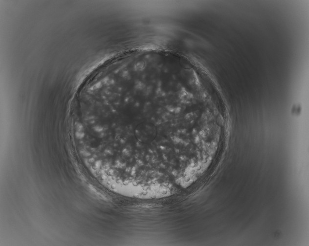 X0000116120721200912211653