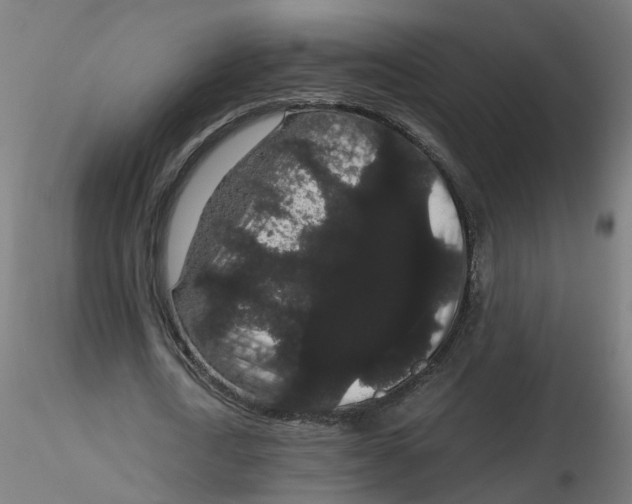 X0000116120722200912211653