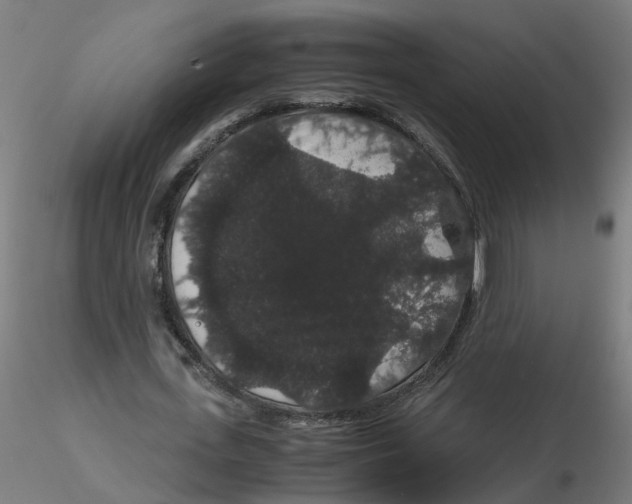 X0000116120723200912211653