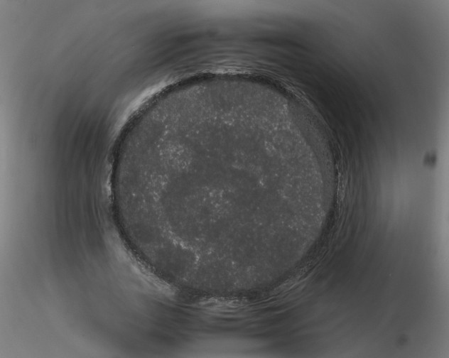 X0000116120727200912211653