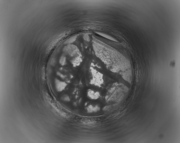 X0000116120729200912211653