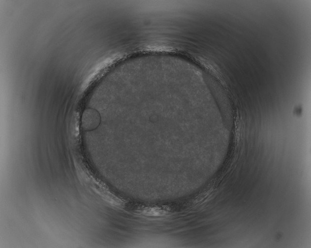 X0000116120731200912211653