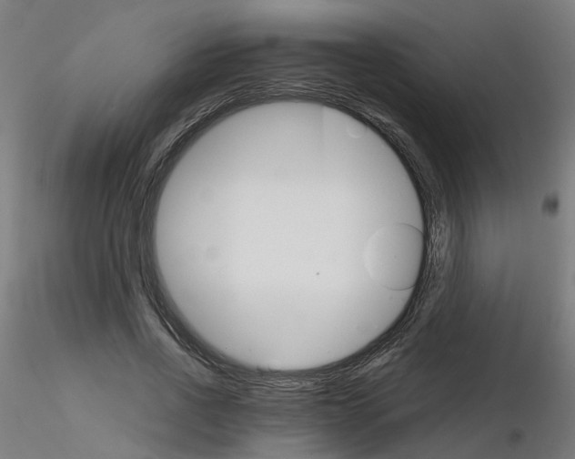 X0000116120734200912211653