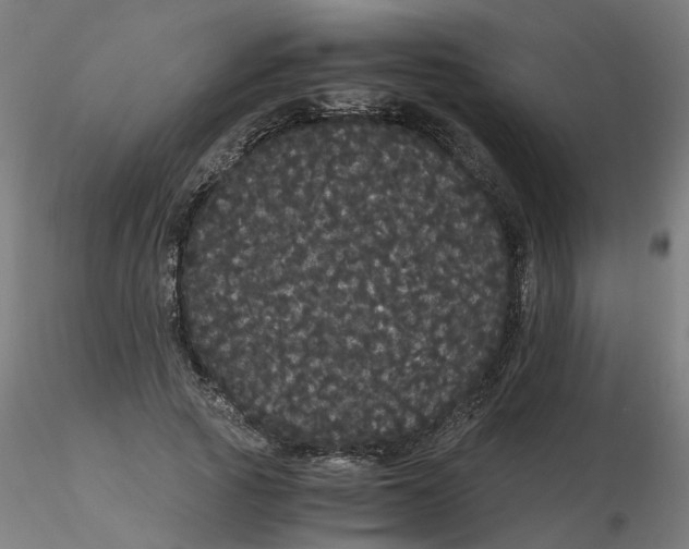 X0000116120737200912211653