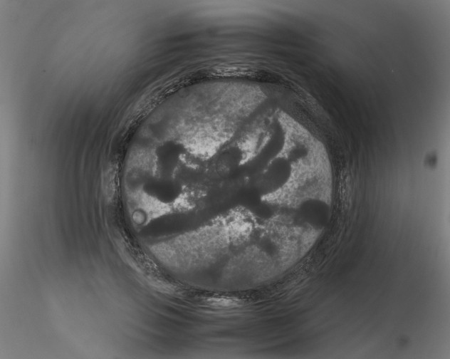 X0000116120741200912211653