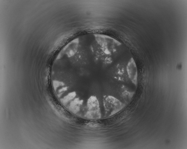 X0000116120742200912211653