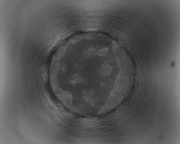 X0000116120743200912211653