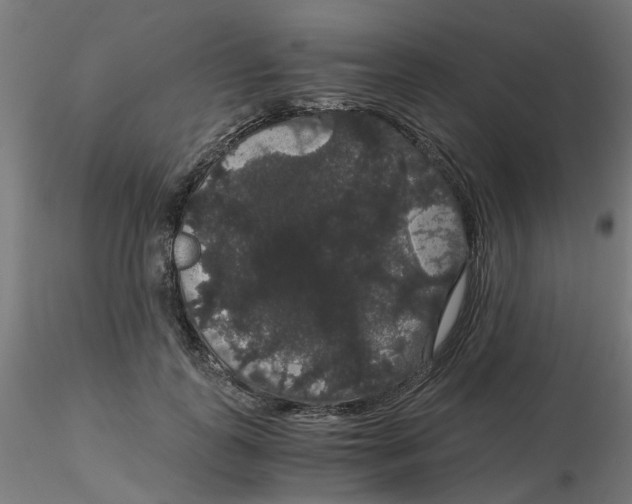 X0000116120747200912211653