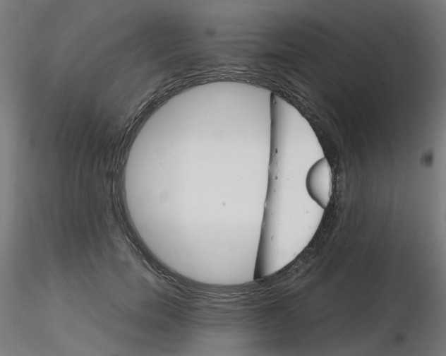 X0000116120750200912211653