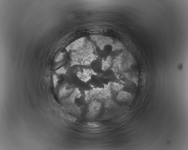 X0000116120753200912211653