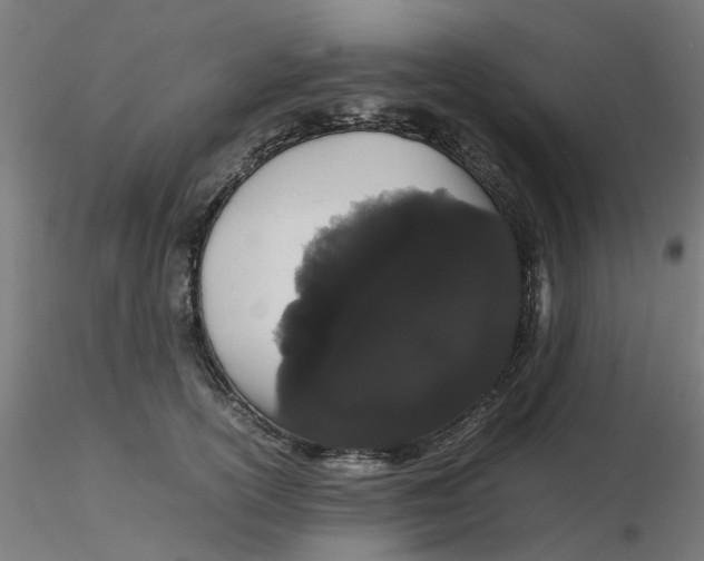 X0000116120754200912211653