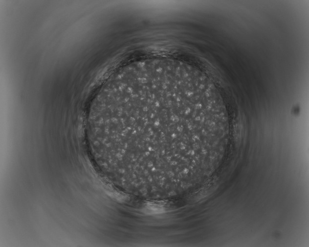 X0000116120757200912211654