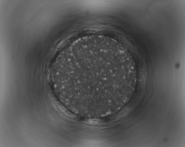 X0000116120758200912211654
