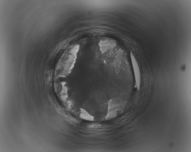 X0000116120759200912211654