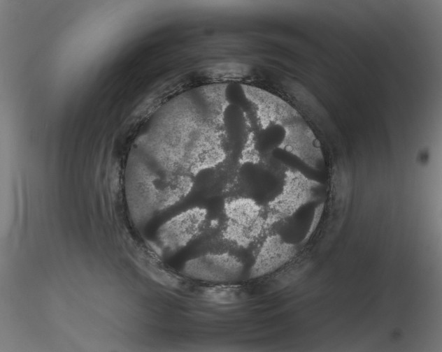 X0000116120761200912211654
