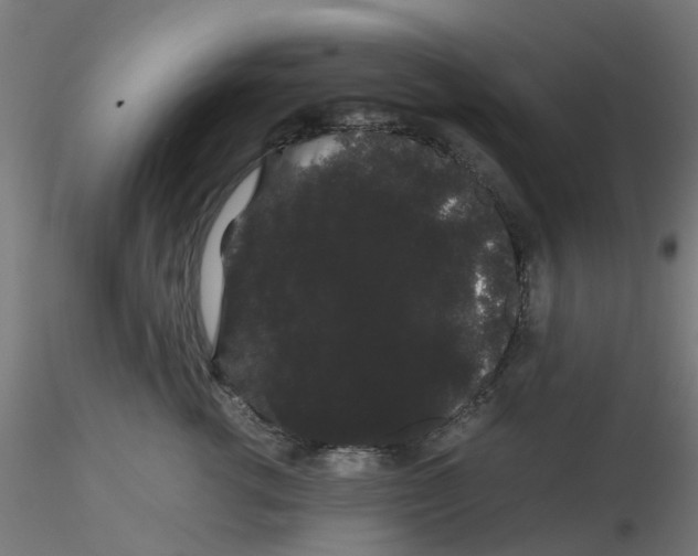 X0000116120762200912211654