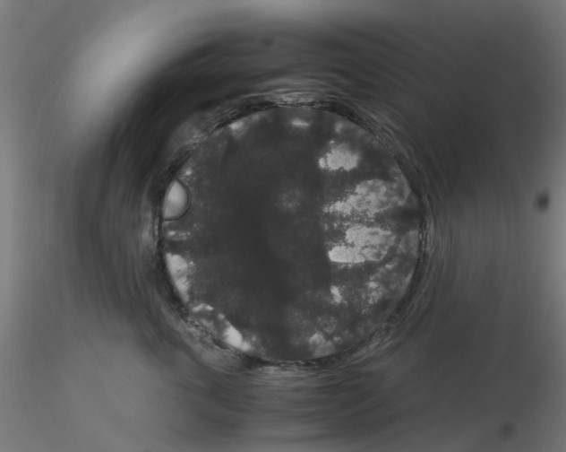 X0000116120763200912211654