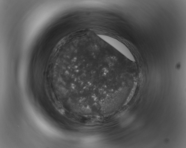 X0000116120765200912211654
