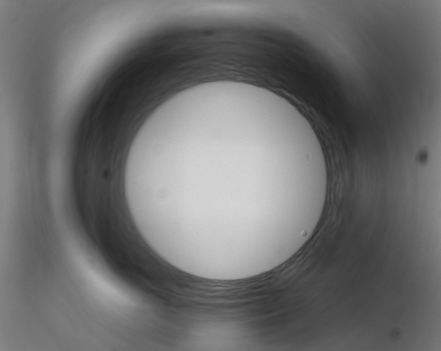 X0000116120766200912211654