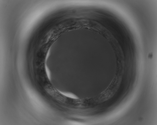 X0000116120767200912211654