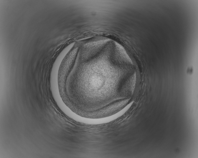 X0000116120769200912211653