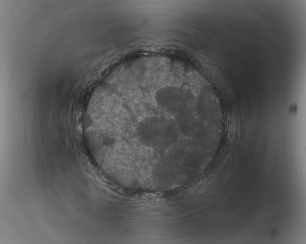 X0000116120770200912211653