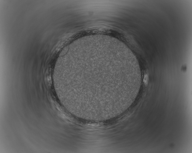 X0000116120771200912211653